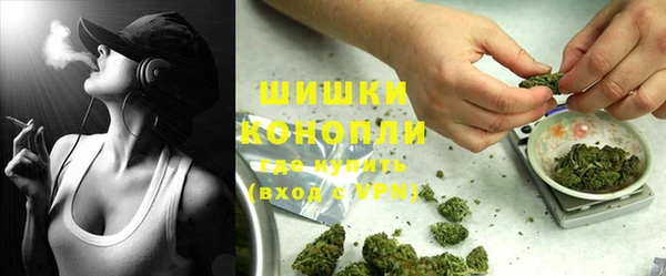 шишки Протвино