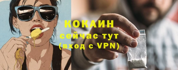 шишки Протвино