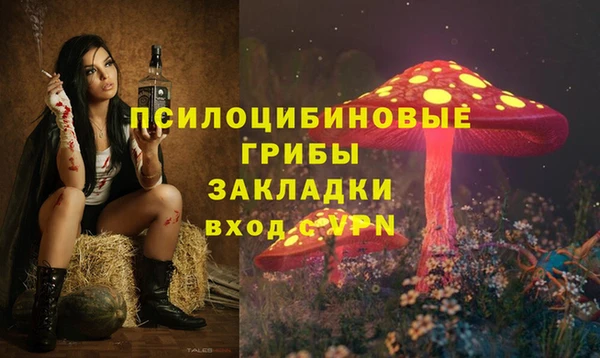 шишки Протвино