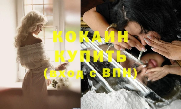 шишки Протвино