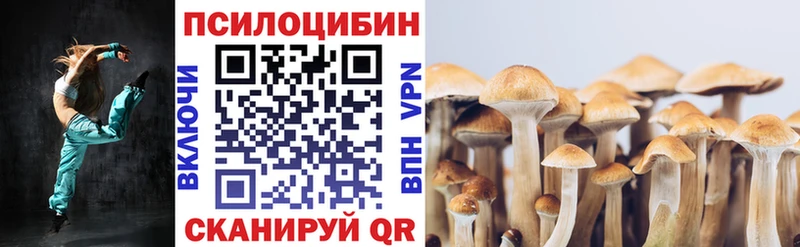 Галлюциногенные грибы мицелий  Старый Крым 